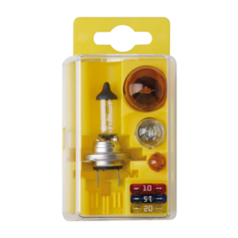 8207 - Spare lamp kit